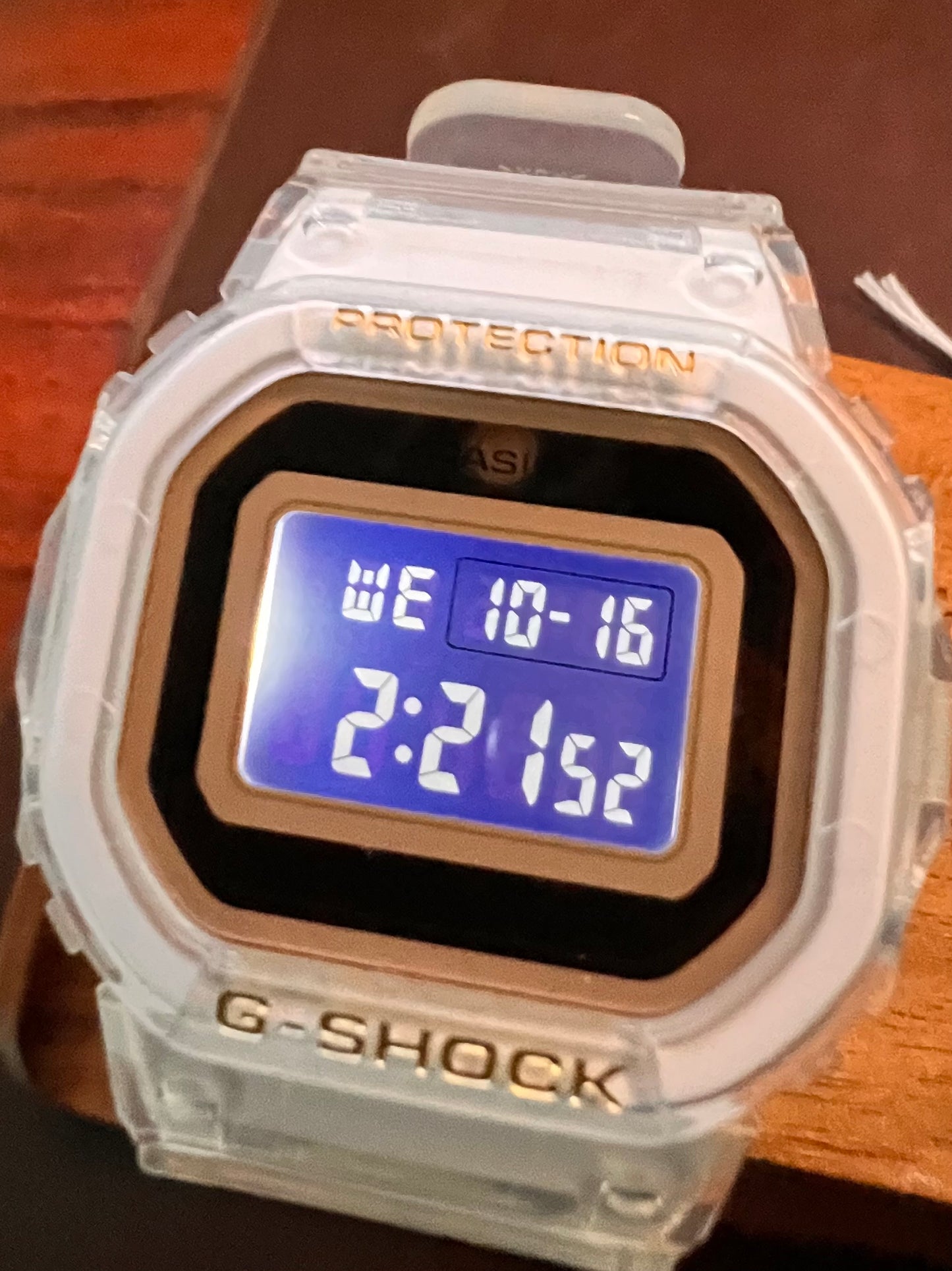 Casio G-Shock GMDS5600SG